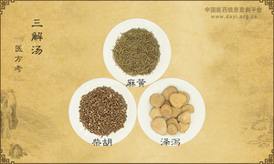 三解汤