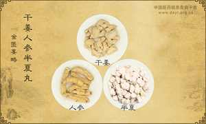 干姜人参半夏丸