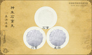 神朱石膏丸