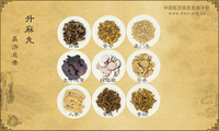 升麻丸