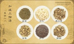 加减三拗汤