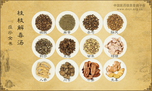 桂枝解毒汤