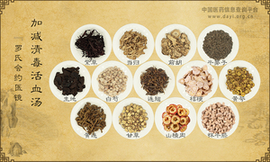 加减清毒活血汤