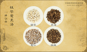 桂苓薏羌汤