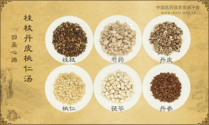 桂枝丹皮桃仁汤