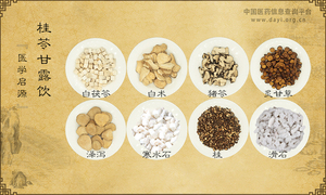 桂苓甘露饮