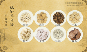 桂附苓乌汤