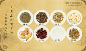 大青龙加黄芩汤