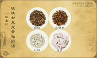 桂枝甘草龙骨牡蛎汤