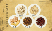 桂枝附子汤去桂加白术汤