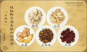 桂枝附子汤去桂加白术汤