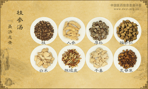 桂参汤