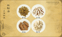桂附汤