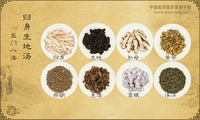 归身生地汤
