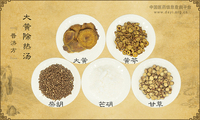大黄除热汤