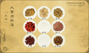 大黄泄热汤