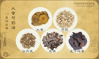 大黄芍药汤