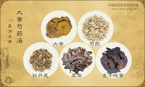 大黄芍药汤