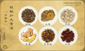 桂枝加大黄汤