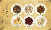 桂枝加附子汤
