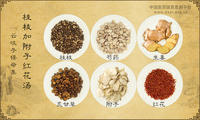 桂枝加附子红花汤