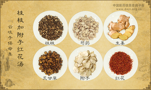 桂枝加附子红花汤