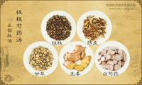 桂枝芍药汤《症因脉治》