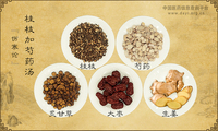 桂枝加芍药汤