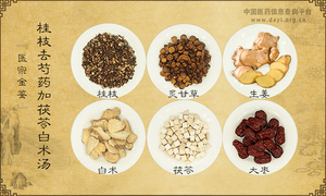 桂枝去芍药加茯苓白术汤