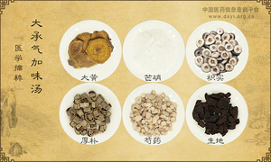 大承气加味汤