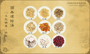 固本理眩汤