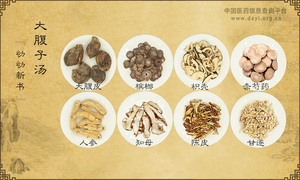 大腹子汤