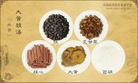 大黄豉汤