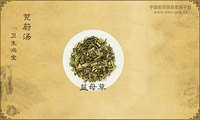 茺蔚汤