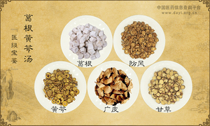 葛根黄芩汤