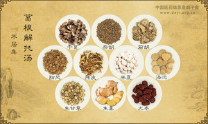 葛根解托汤