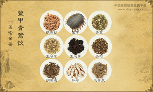 鳖甲青蒿饮