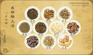 表邪降火汤