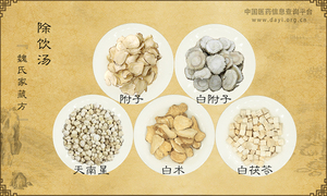 除饮汤