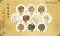 除邪清肺汤