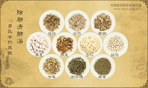 除邪清肺汤