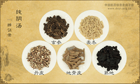 纯阴汤