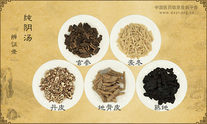 纯阴汤
