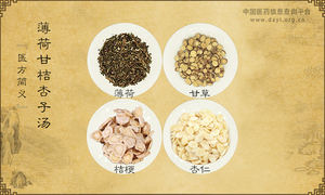 薄荷甘桔杏子汤