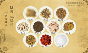 除湿压热饮