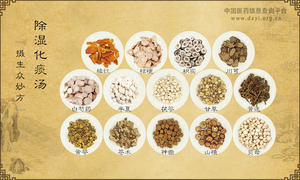 除湿化痰汤