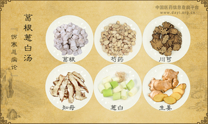 葛根葱白汤