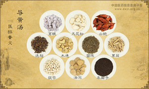 导黄汤