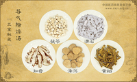 导气除燥汤