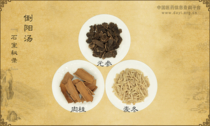 倒阳汤